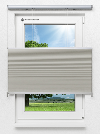 Tender Comb BO 9309.3634 Fensteransicht