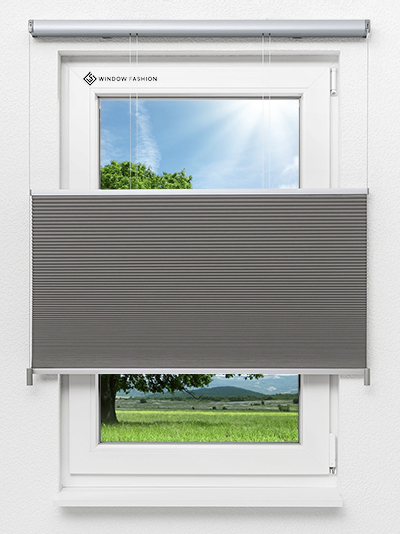 Tender Comb BO 9309.3635 Fensteransicht