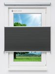 Bumby Comb BO 9508.3589 Fensteransicht