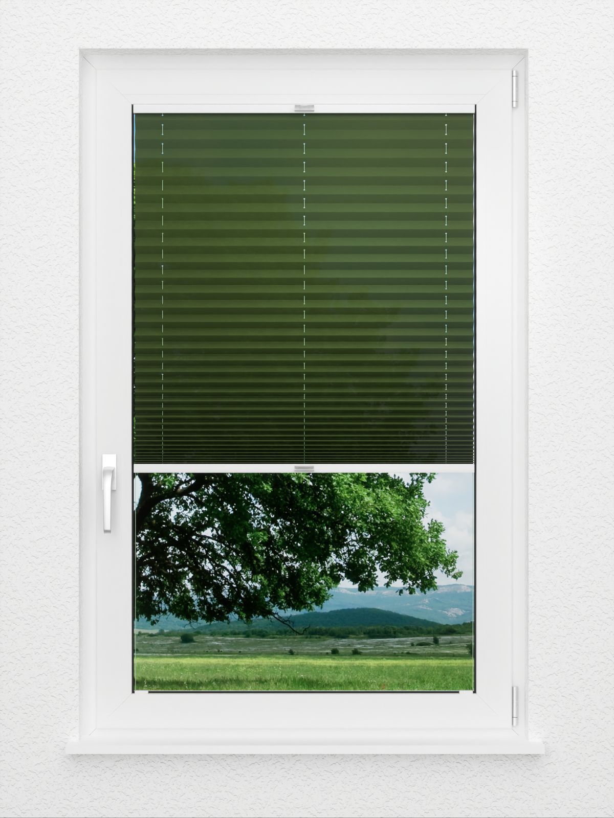 Detailansicht Plissé Naturale 6606.9453