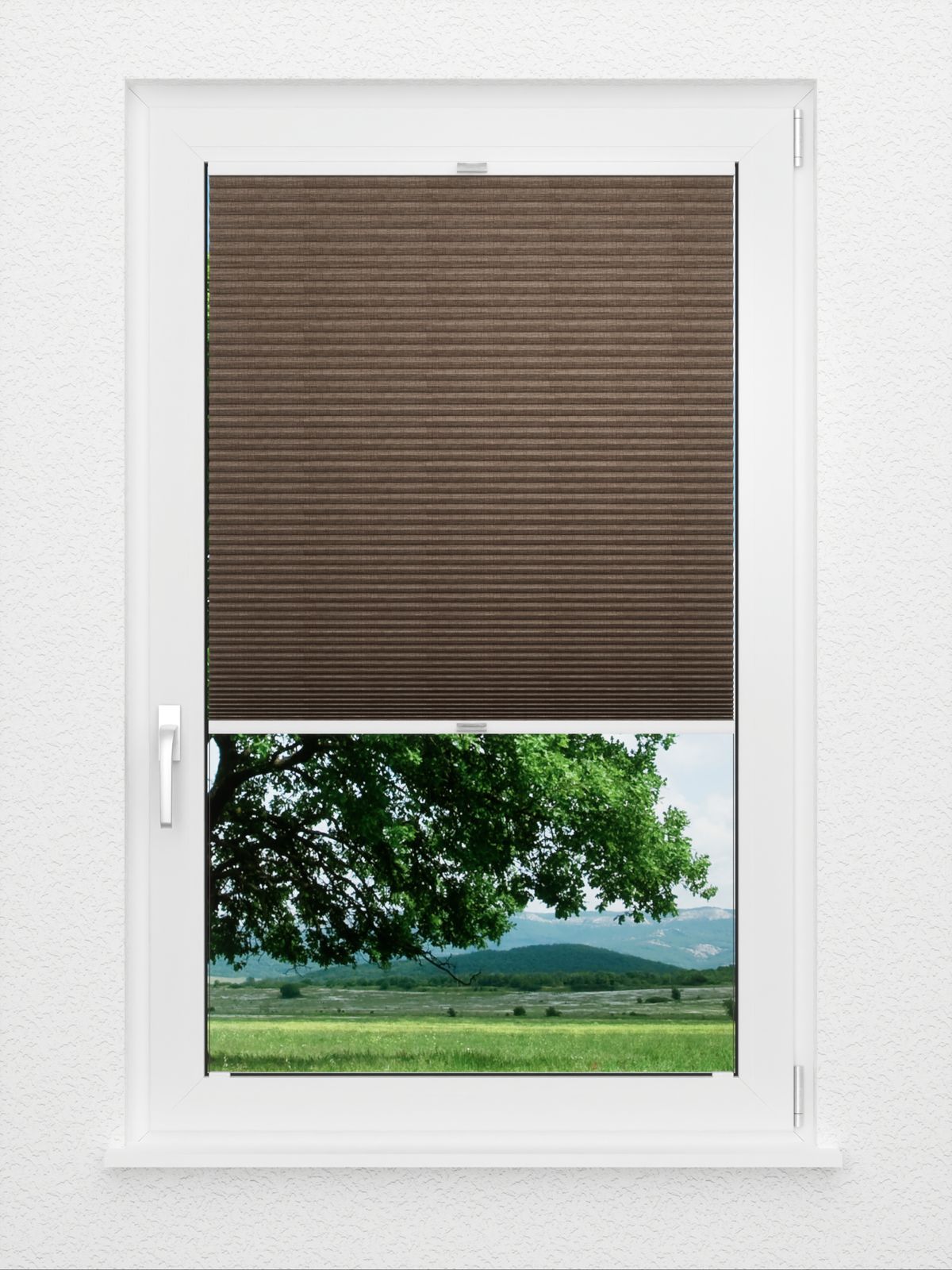 Detailansicht Coarse Comb LI 7307.7008