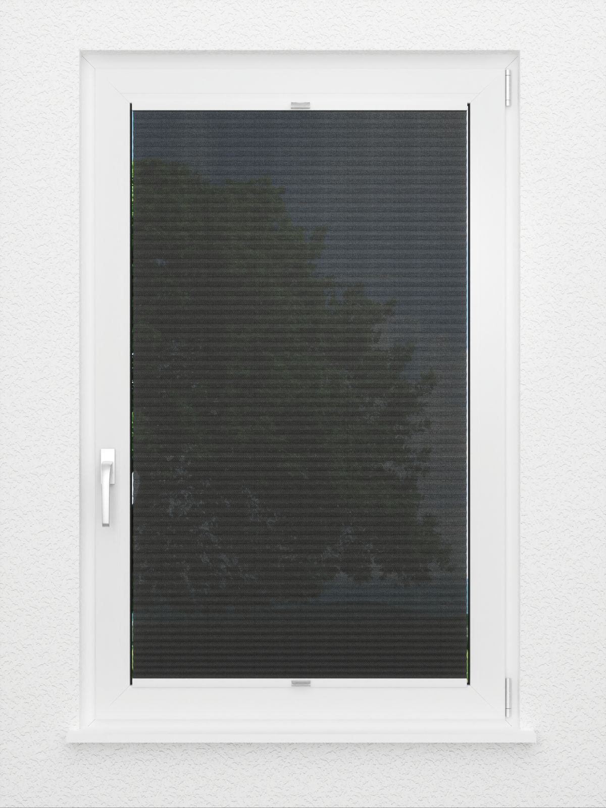 Detailansicht Rough Comb LI 6308.3577