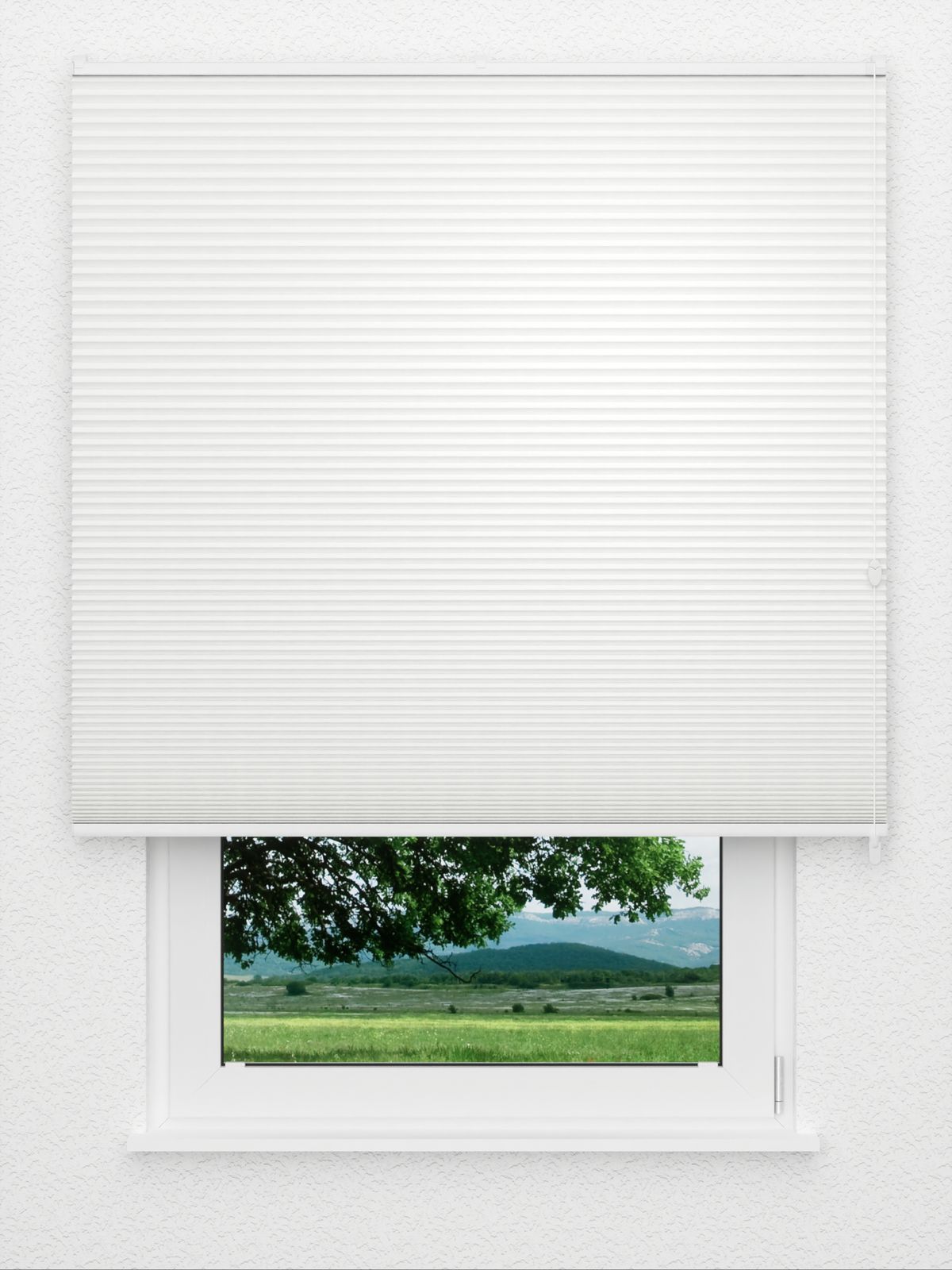 Detailansicht Straight Comb BO 9201.3613