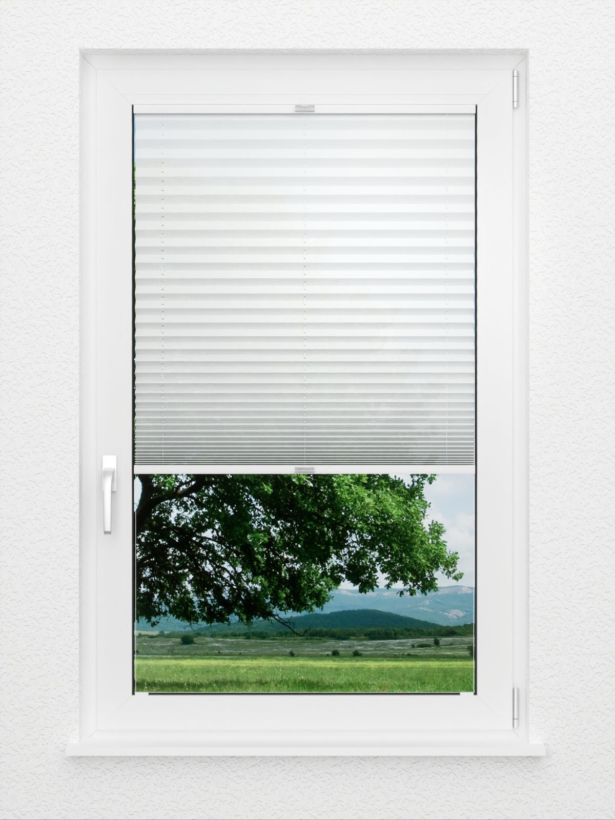 Detailansicht Plissé Tedesco 2600.1919