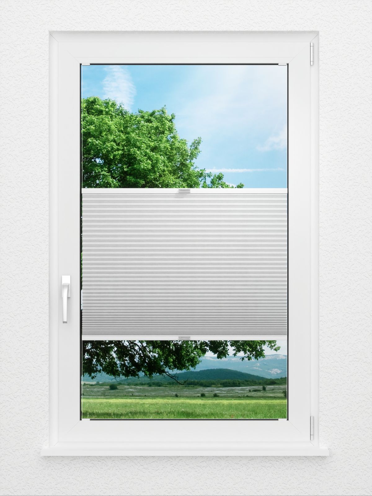Detailansicht Bumby Comb LI 3101.3579