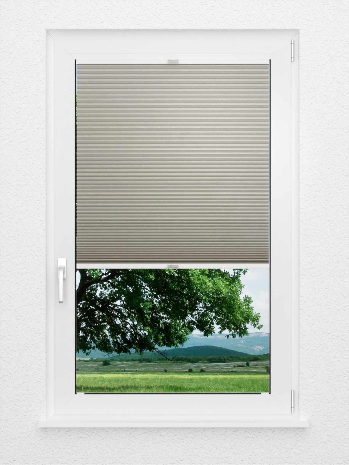 Detailansicht Bumby Comb LI 3302.3581