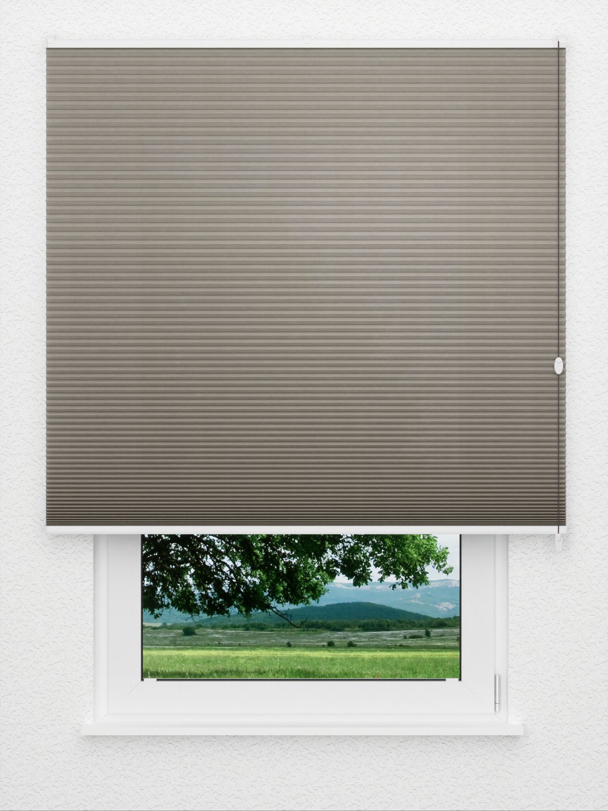 Detailansicht Bumby Comb LI 3402.3582