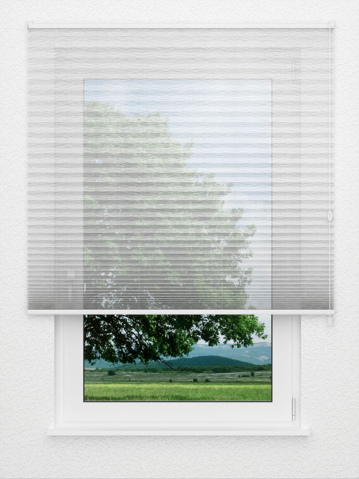 Detailansicht Plissé Verismo 3900.3518