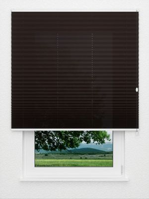 Plissé Crêpe B1 05.0106 Fensteransicht