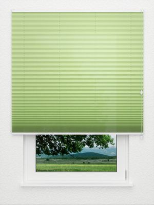 Plissé Crêpe B1 15.0206 Fensteransicht