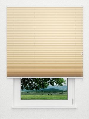 Plissé Crêpe B1 19.0302 Fensteransicht