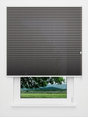 Plissé Crêpe B1 30.0406 Fensteransicht