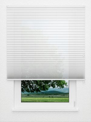 Toccata de Plissé B1 2100.5028 Fensteransicht