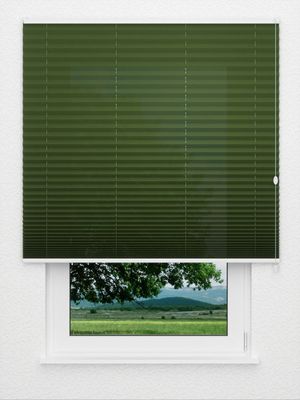 Plissé Naturale 6606.9453 Fensteransicht