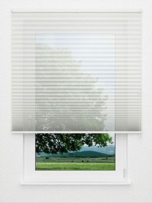 Plissé Appasionato 1300.3105 Fensteransicht