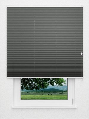 Plissé Crush Perl 2583.3309 Fensteransicht