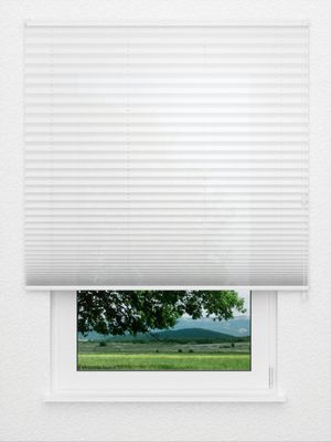 Écran Plissé Arco 2301.0820 Fensteransicht