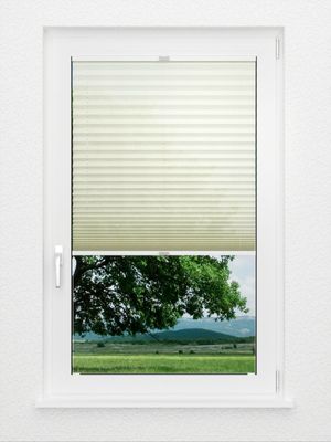 Preview Plissé All Over 6201.2002 2