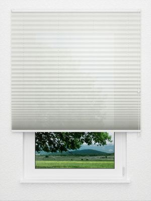 Plissé All Over 6301.2003 Fensteransicht