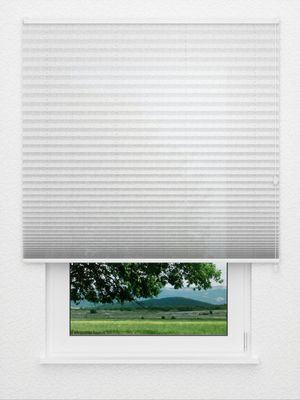 Plissé Tendrils 5201.5017 Fensteransicht