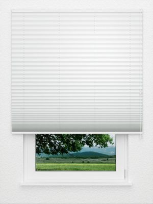 Plissé Cantate 4200.5014 Fensteransicht