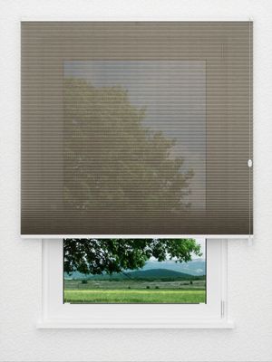 Preview Rough Comb LI 6402.3578 0