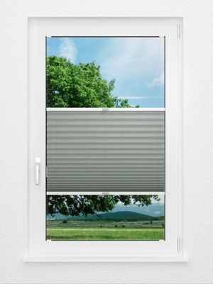 Preview Plissé Office Grand 8580.9302 1
