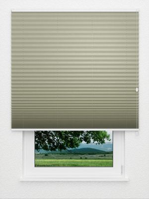 Plissé Crêpe B1 1030.0310 Fensteransicht