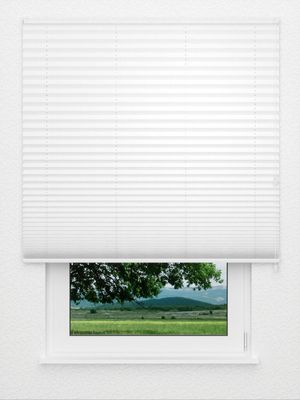 Plissé Risoluto 4400.3107 Fensteransicht