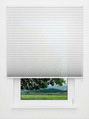Plissé Crush 6001.1160 Fensteransicht
