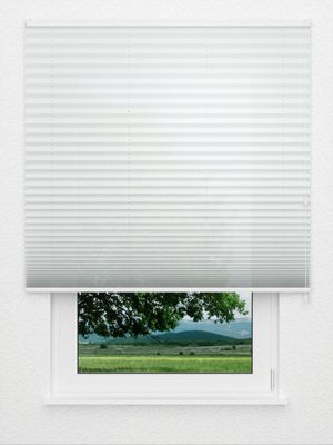 Plissé Tedesco 2600.1919 Fensteransicht