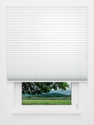 Plissé crêpe Black Out 4101.0210 Fensteransicht