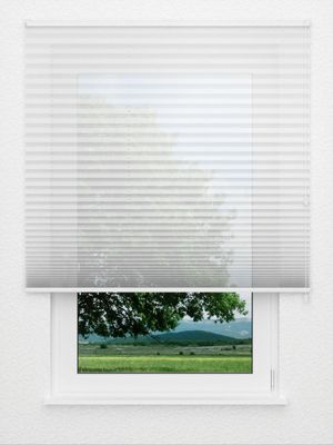Plissé Allegro 1200.3205 Fensteransicht