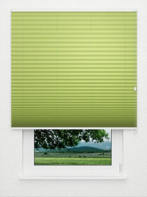 Plissé Kreppa Perlex 1606.1161 Fensteransicht