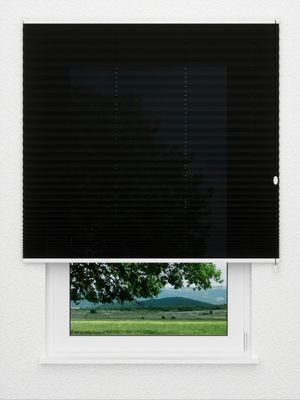 Plissé Kreppa 1308.1156 Fensteransicht