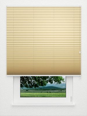 Plissé Kreppa 1302.1253 Fensteransicht