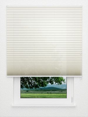 Plissé Kreppa 1301.0258 Fensteransicht