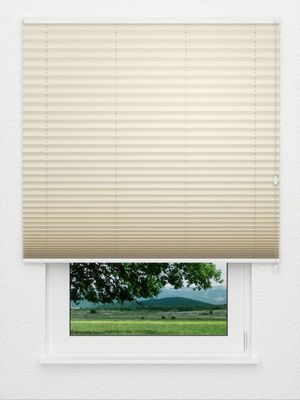 Plissé Kreppa 1302.0352 Fensteransicht