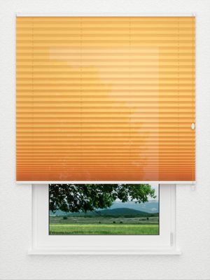 Plissé vide 5416.9754 Fensteransicht