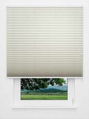 Plissé Smooth DO 8002.3470 Fensteransicht