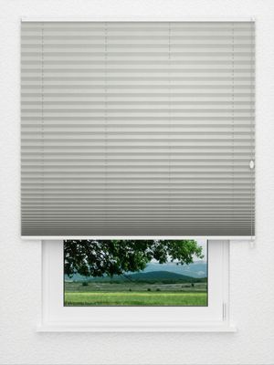 Plissé Smooth DO 8009.4156 Fensteransicht