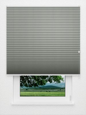 Plissé Smooth DO 8009.4157 Fensteransicht