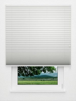 Plissé Crêpe Black Out 4901.3363 Fensteransicht