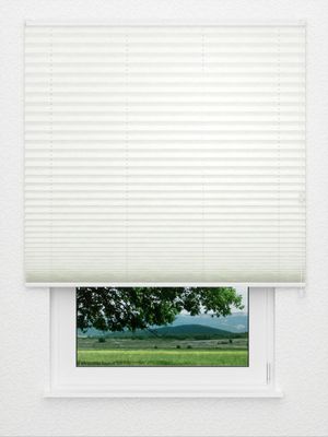 Plissé Stentando 6101.5030 Fensteransicht