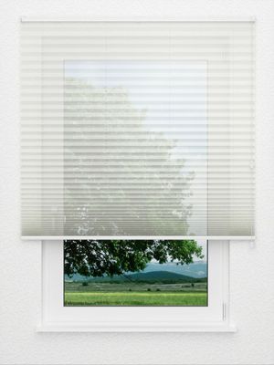 Plissé Fortissimo 2710.3411 Fensteransicht