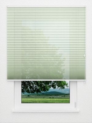 Feu vert Plissé 5106.5040 Fensteransicht