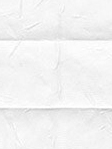 Plissé Crush 01.0202 Detailansicht