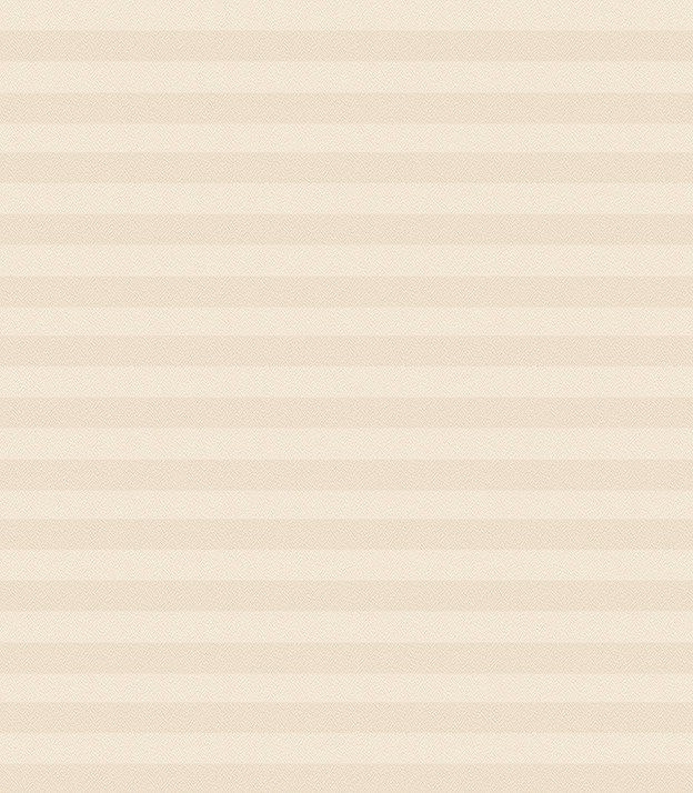 Detailansicht Plissé Kreppa Perlex 1602.1254