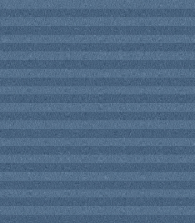 Detailansicht Plissé Kreppa 1305.1155