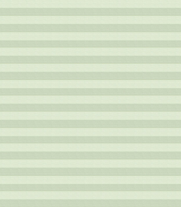 Detailansicht Feu vert Plissé 5106.5040